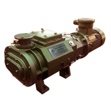 Horizontal Type Dry Screw Vacuum Pump (DSHS-100)